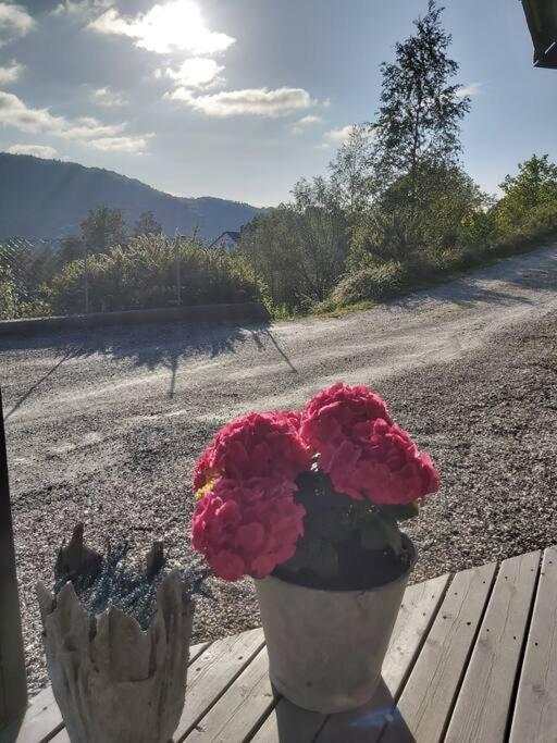 Lonevåg Casa Monami Leilighet I Naturen Naer Bergen 아파트 외부 사진